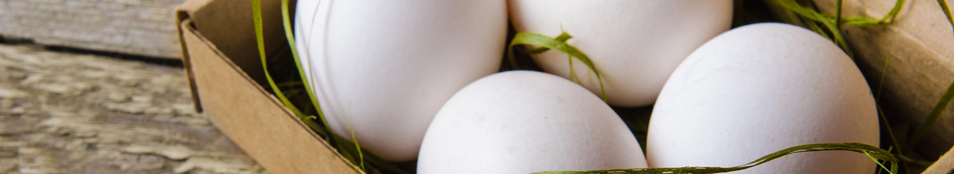 slawko-o-firmie-baner